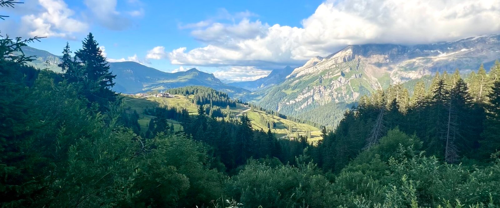 Western Switzerland beyond International Education