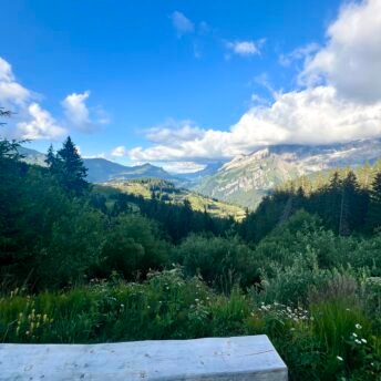 Western Switzerland beyond International Education