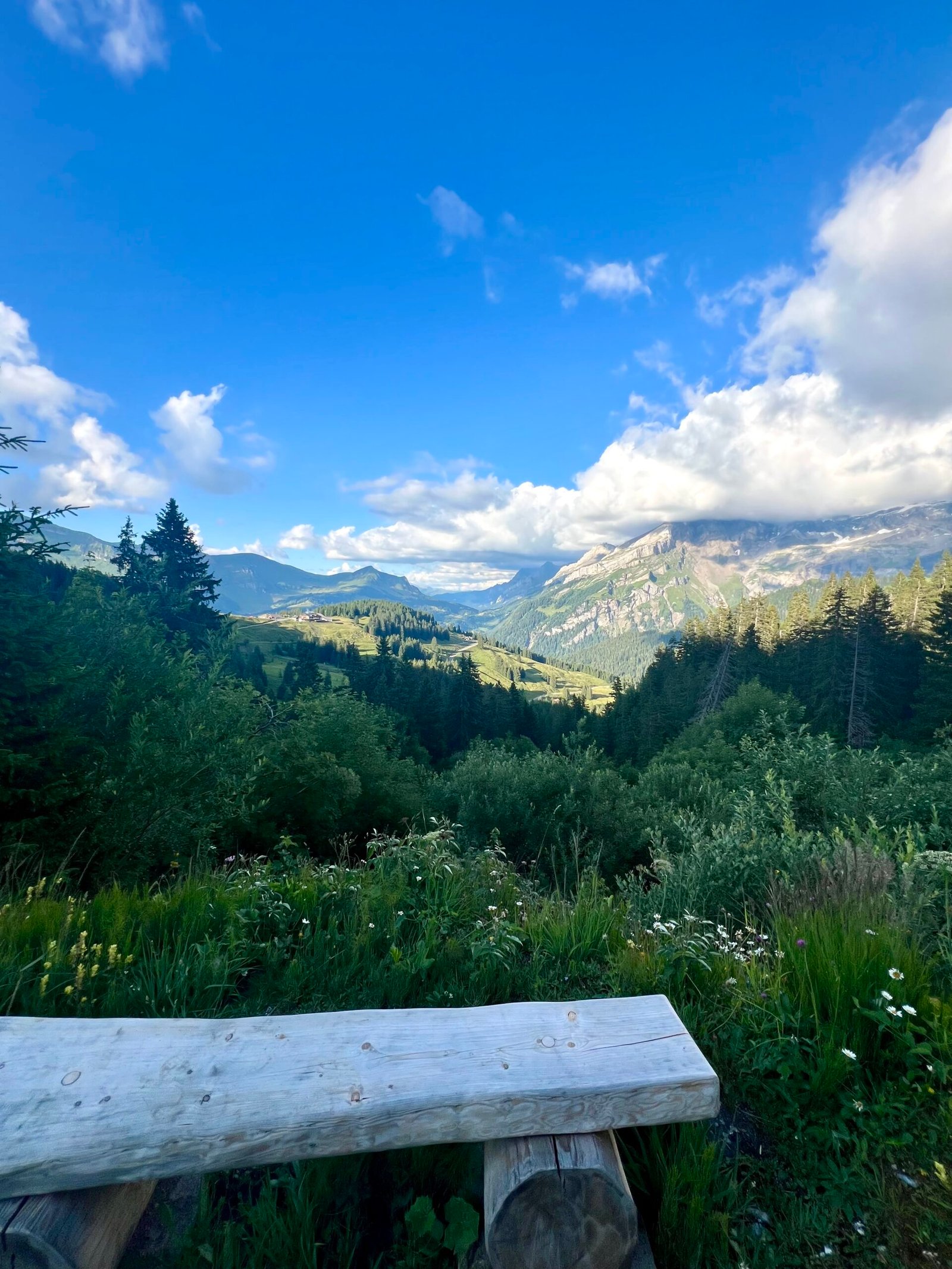 Western Switzerland beyond International Education